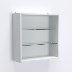 Витрина настенная №201-1Г с двумя полками, Белый