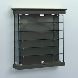 Витрина для музеев "Коллекция" настенная №2-5-РЕГ, Черный