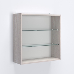 Витрина настенная №201-1Г с двумя полками, Ясень Анкор светлый