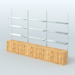 Система Neo Fix №8 со стеклянными полками и тумбами T-12, Дуб Золотистый