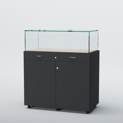 Витрина для музеев "Коллекция" №16, Антрацит