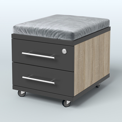 Тумба Лиани 2 ящика с подушкой, Дуб Сонома + Черный