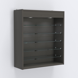 Витрина настенная №201-7Г открытая с пятью полками и верхним светом, Черный