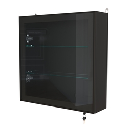 Витрина настенная №1-1А с прозрачными полками серии Collecto, Черный