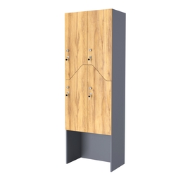 Шкаф для раздевалок СТАНДАРТ-Элегия №3-2Б, Темно-серый и Дуб Золотистый