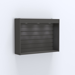 Витрина настенная №203-2В с эконом панелью и верхним фризом, Черный