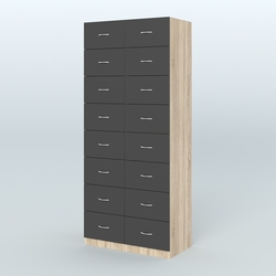 Шкаф для аптек - картотека серии RED №8 , Дуб Сонома + Черный